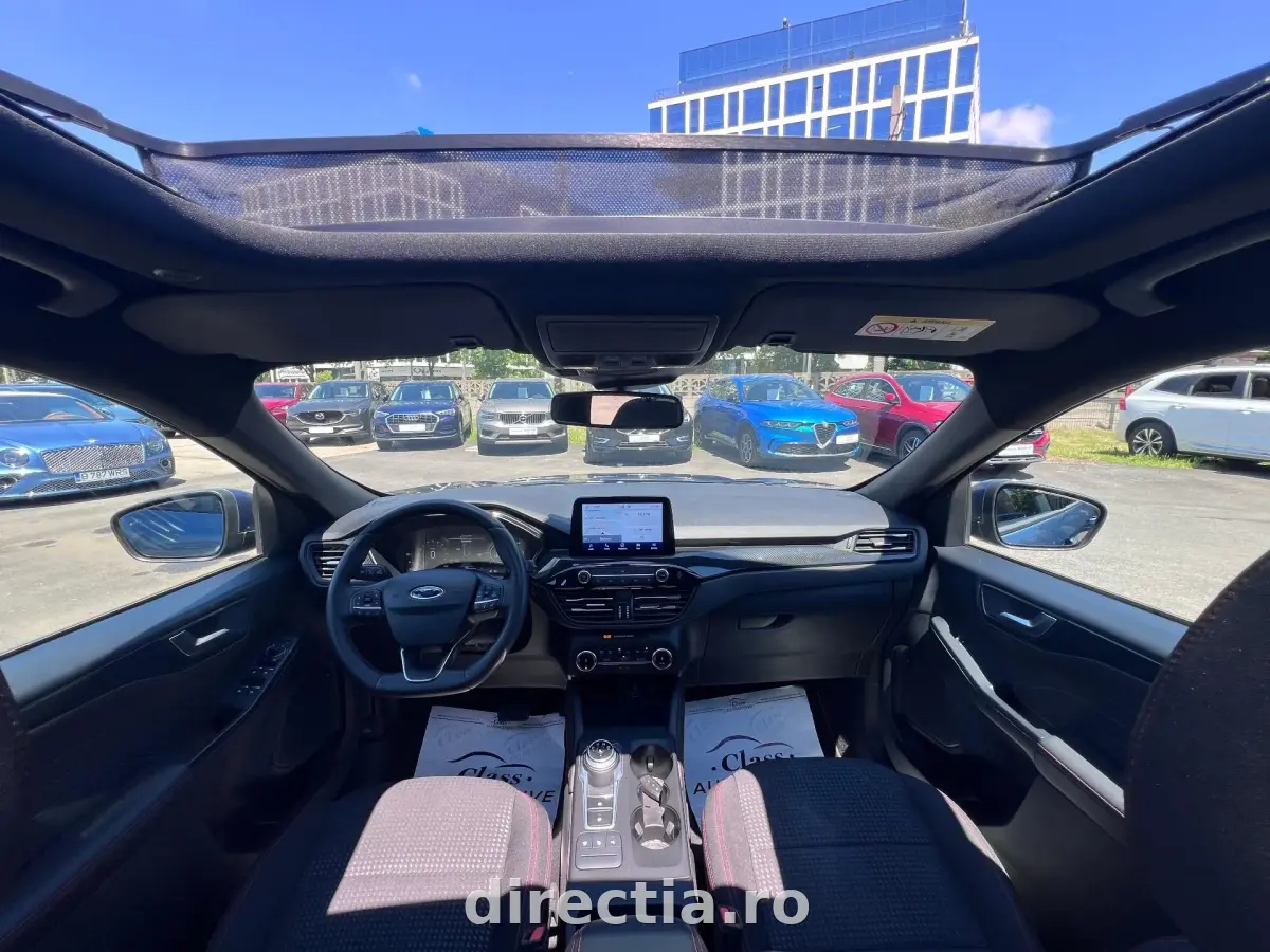 Poza principală