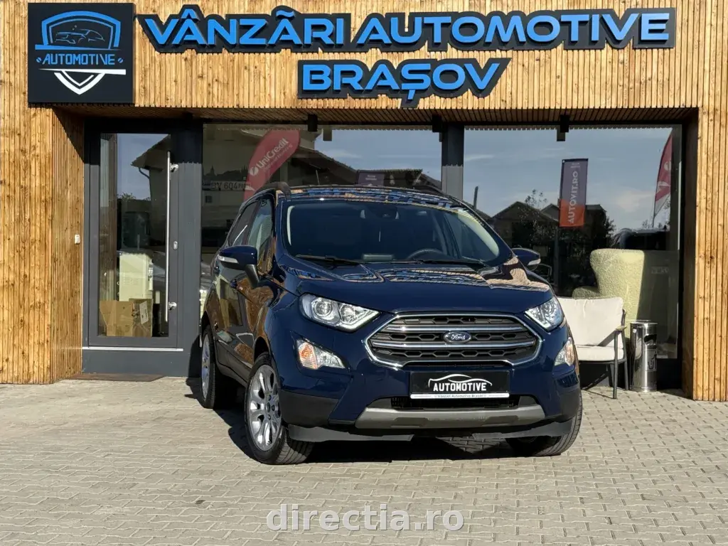 Poza principală