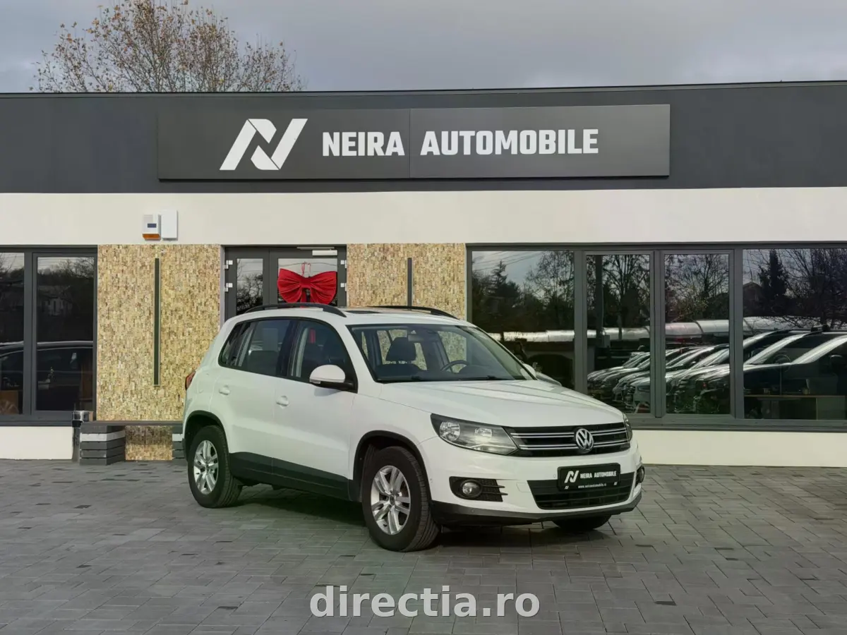 Poza principală