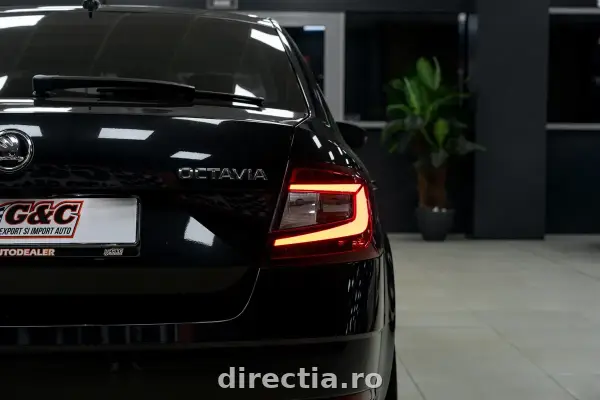 Poza anunț 16