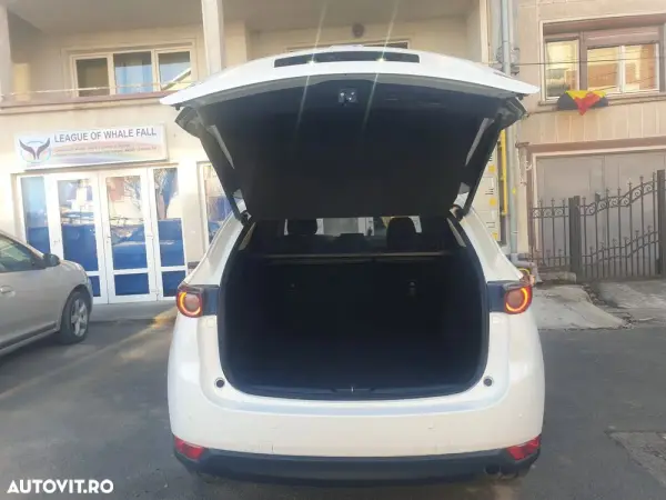 Poza anunț 10