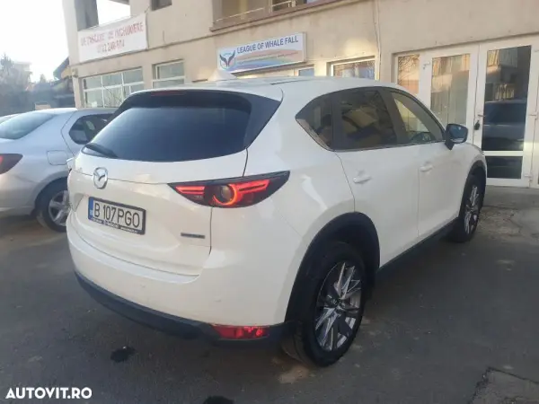 Poza anunț 8