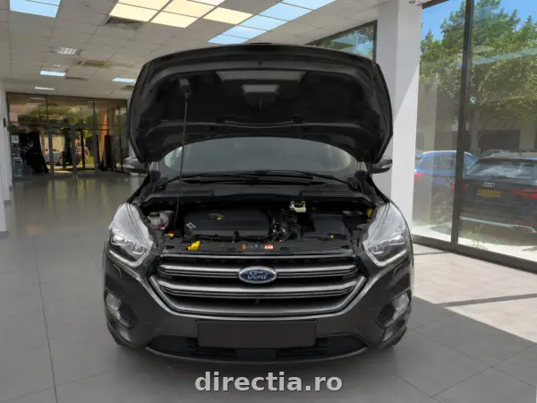 Poza anunț 8