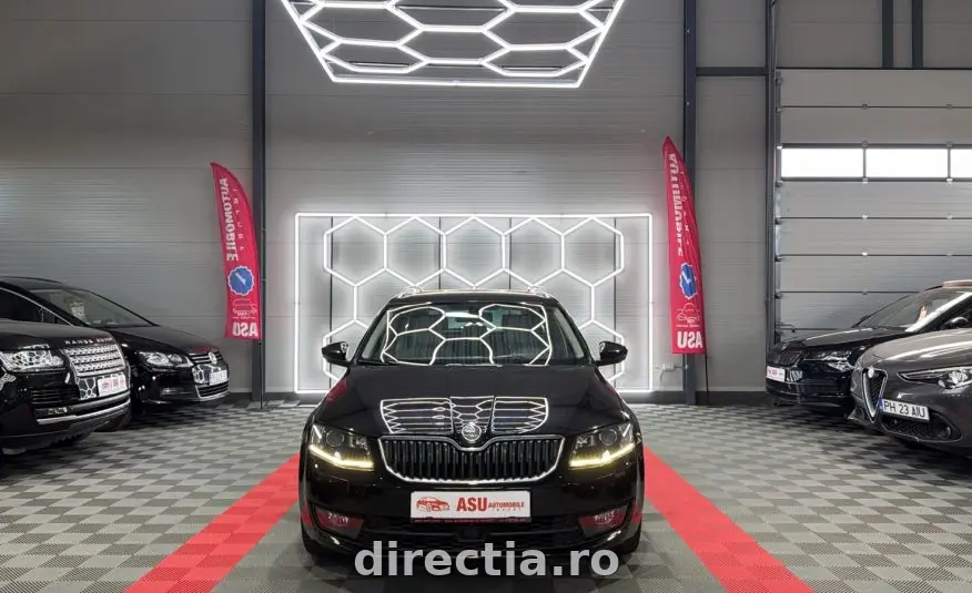 Poza principală