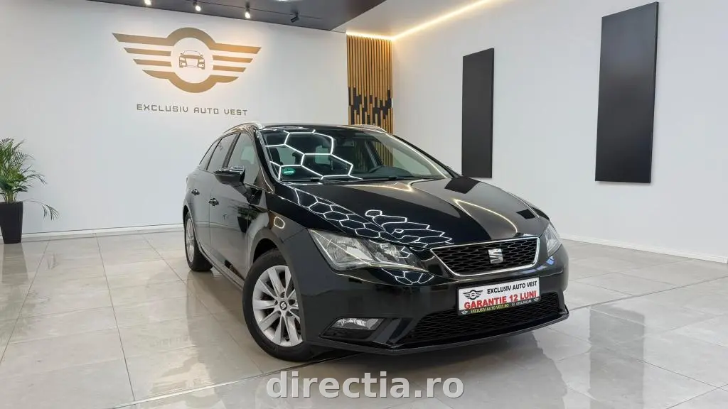 Poza principală