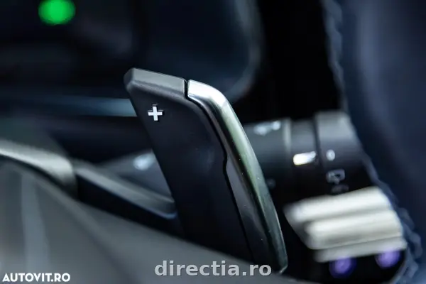 Poza anunț 31
