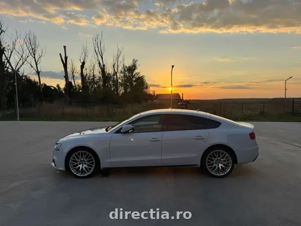 Poza anunț 18
