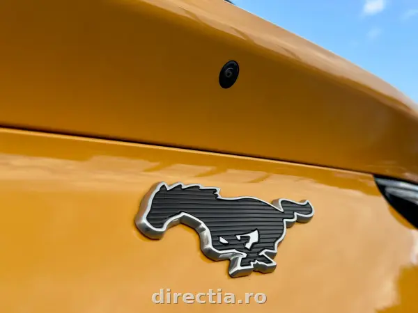Poza anunț 15