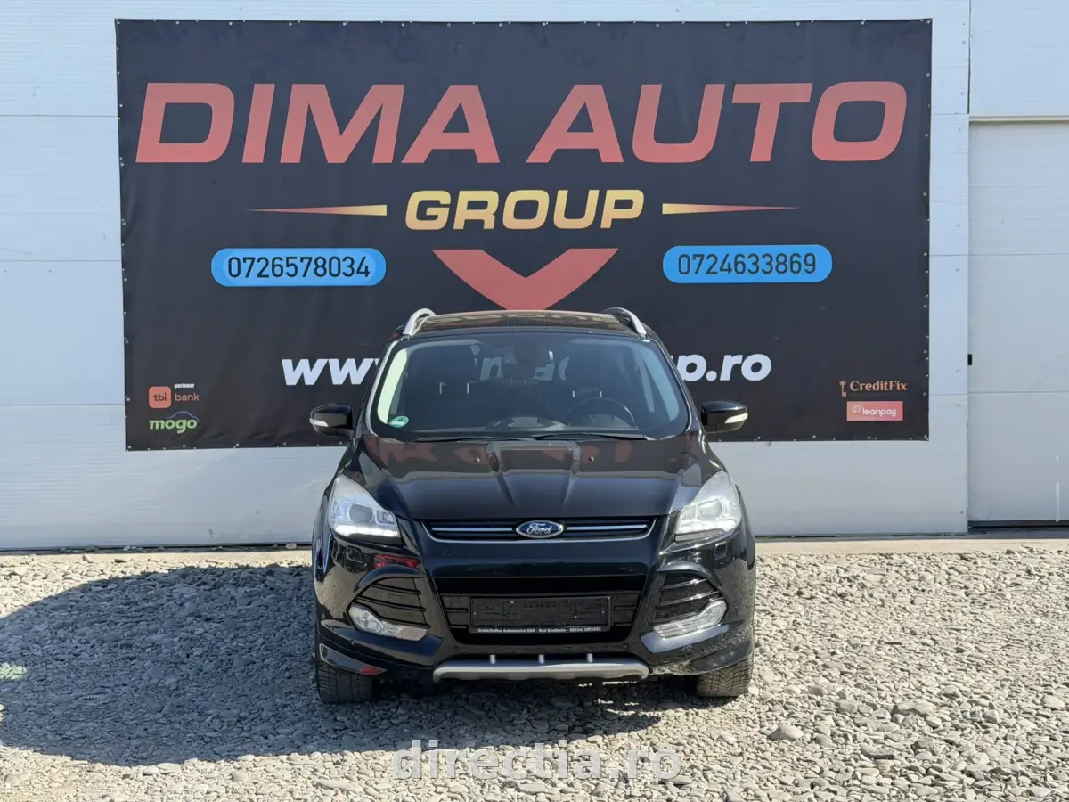 Poza principală