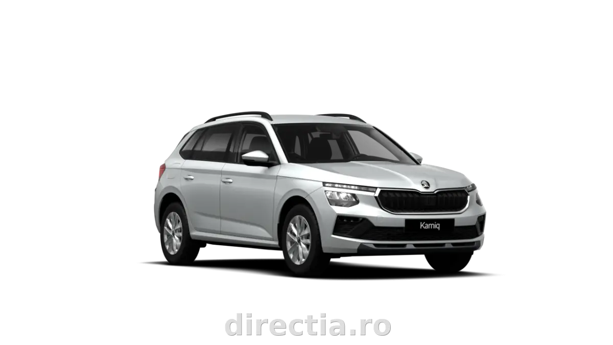 Poza principală