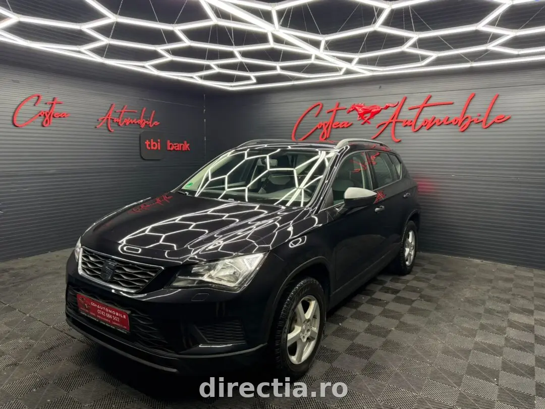 Poza principală