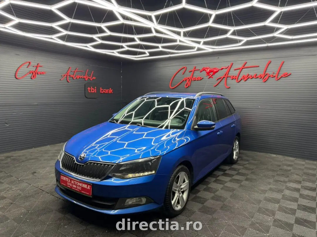 Poza principală