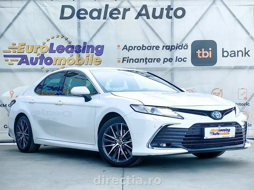 Poza principală