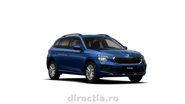 Poza anunț 1
