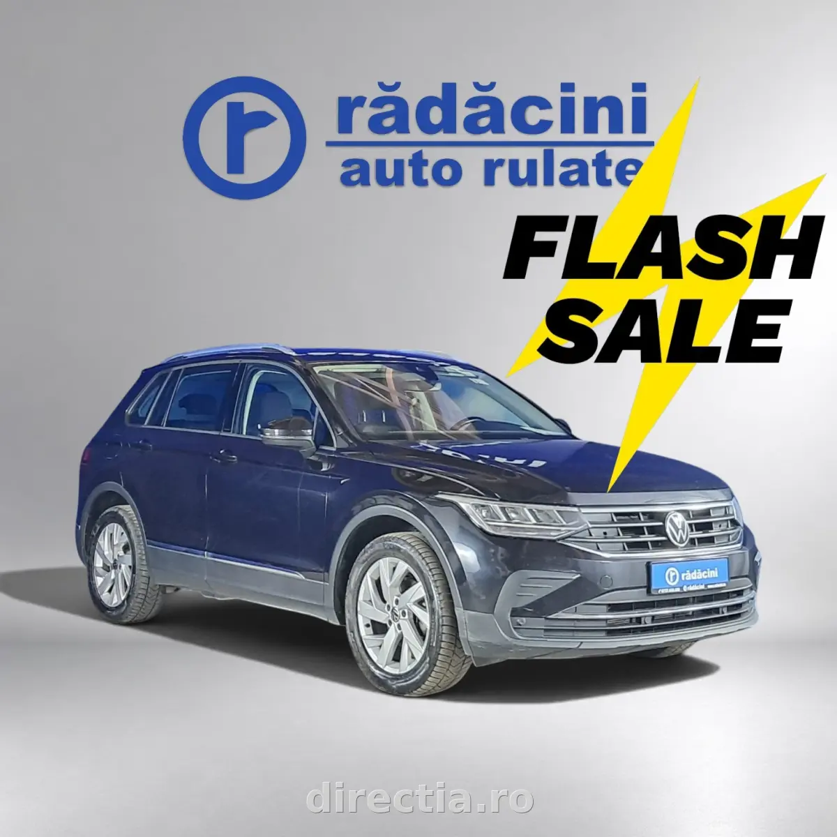 Poza principală