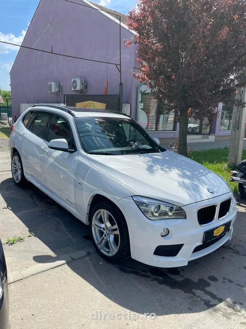 Poza principală