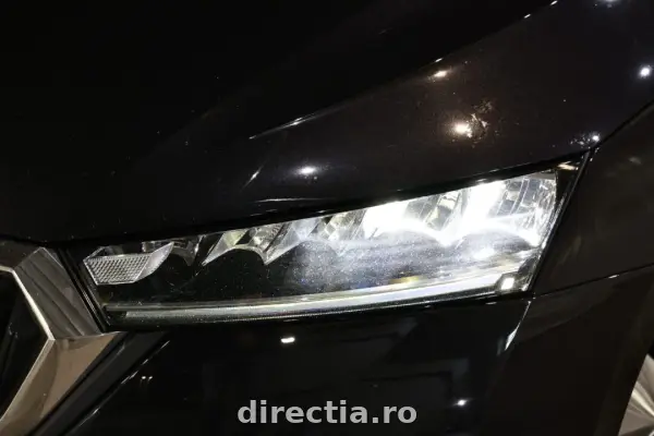 Poza anunț 31