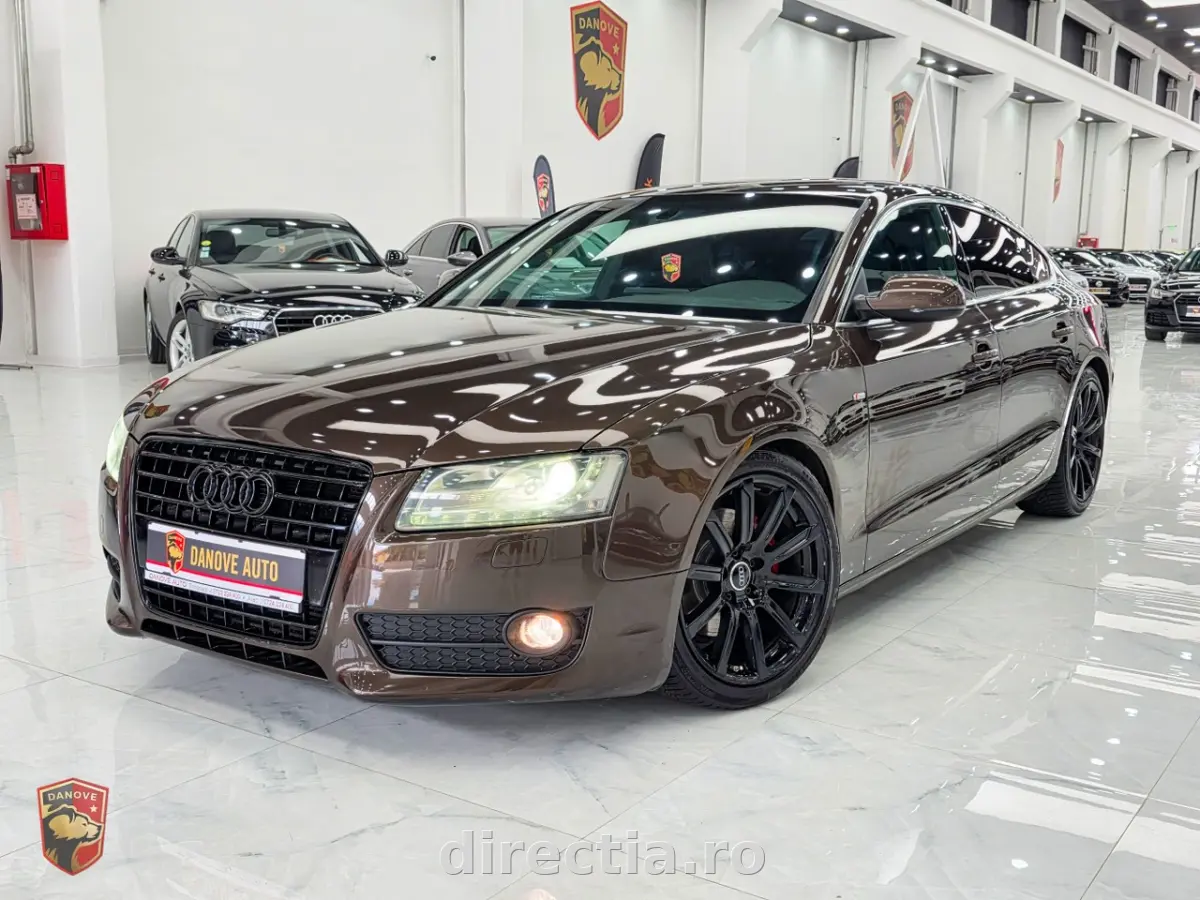 Poza principală