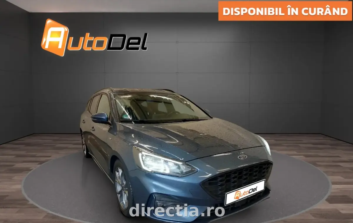Poza principală