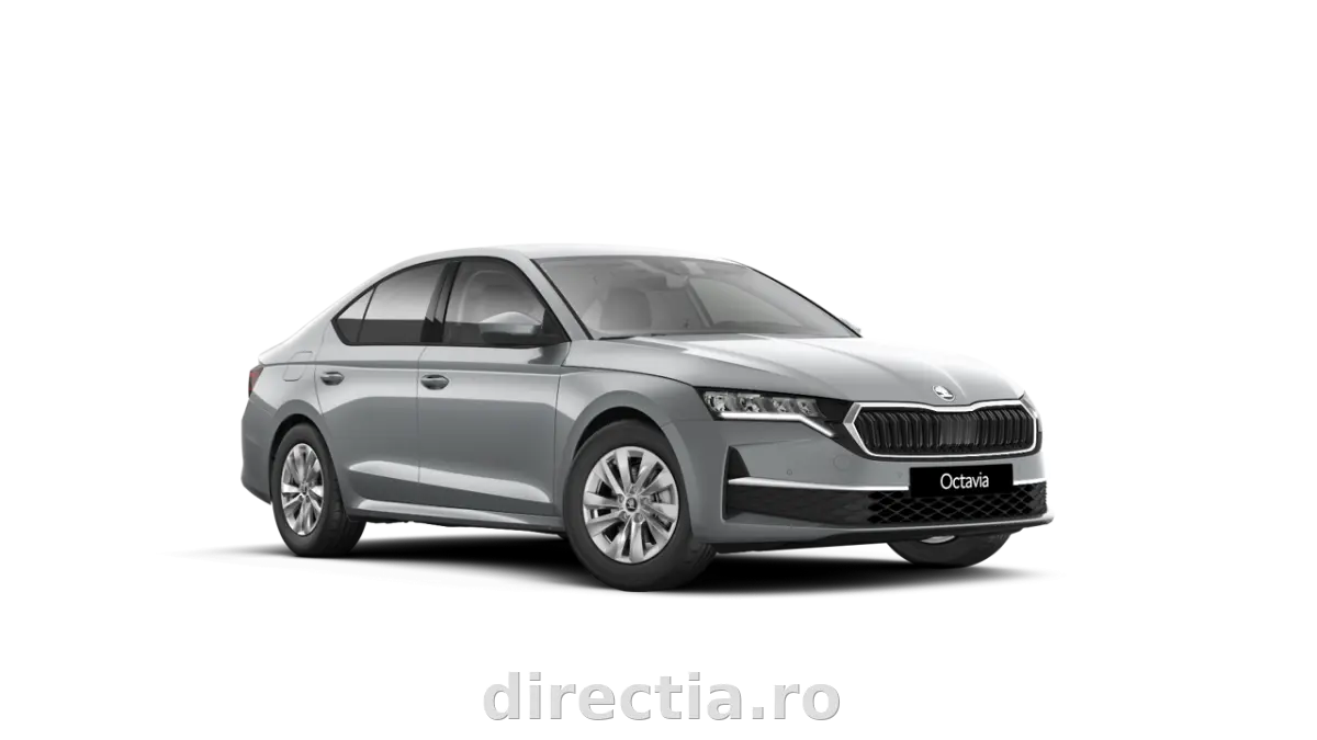 Poza principală