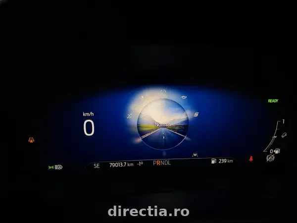 Poza anunț 20
