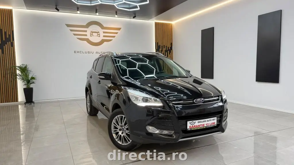 Poza principală