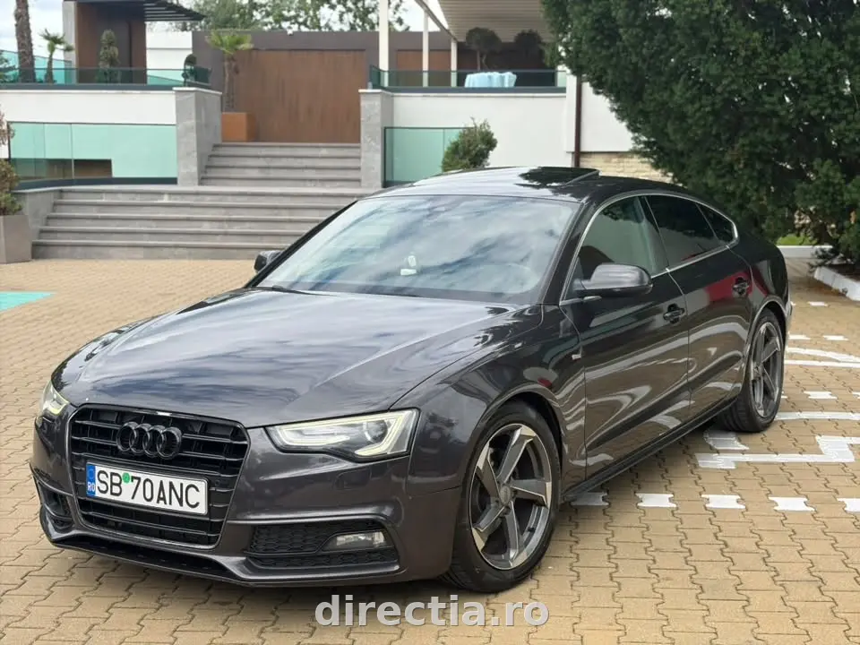 Poza principală