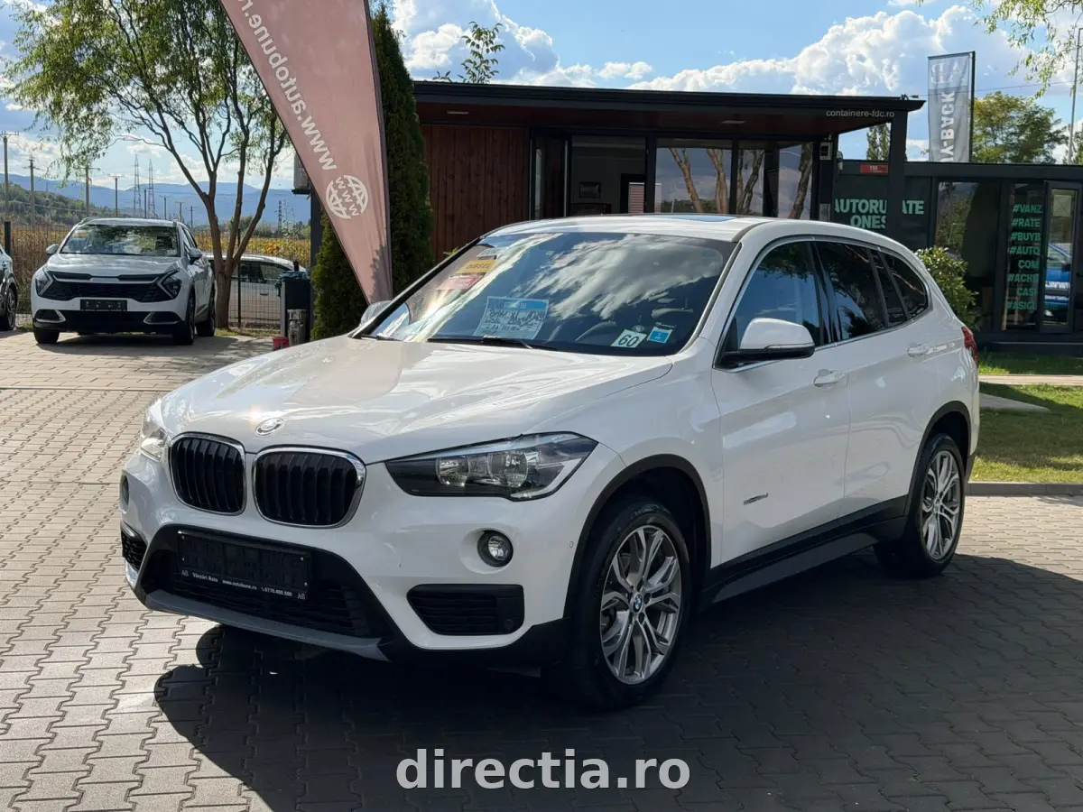 Poza principală