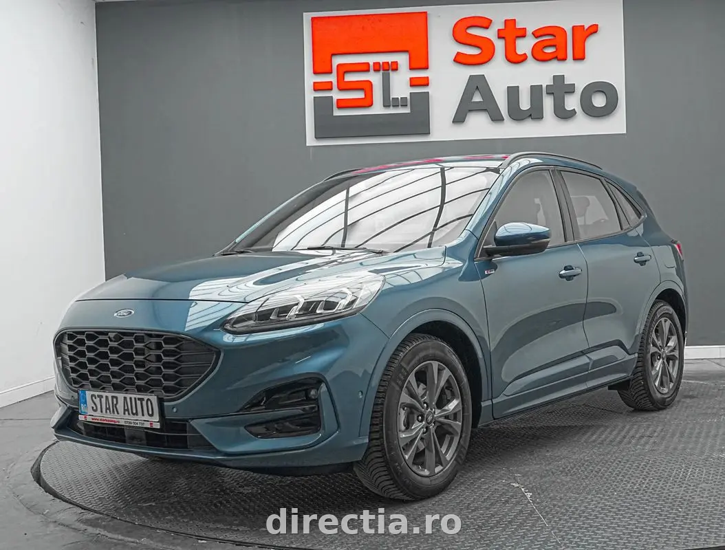 Poza principală