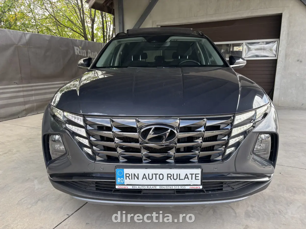 Poza principală