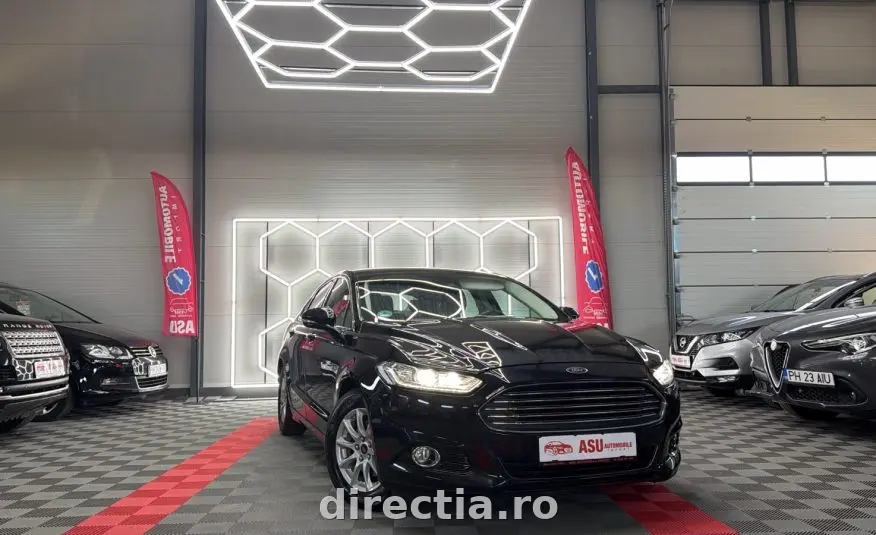 Poza principală