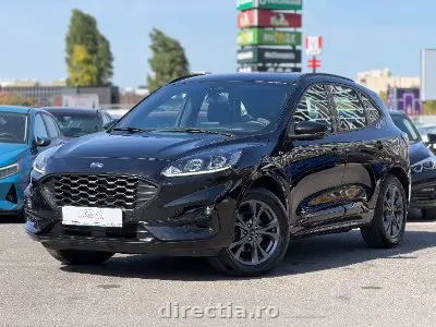 Poza principală