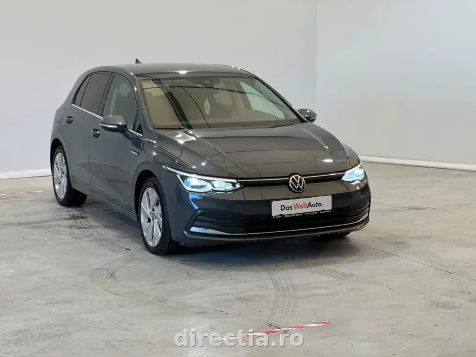 Poza principală
