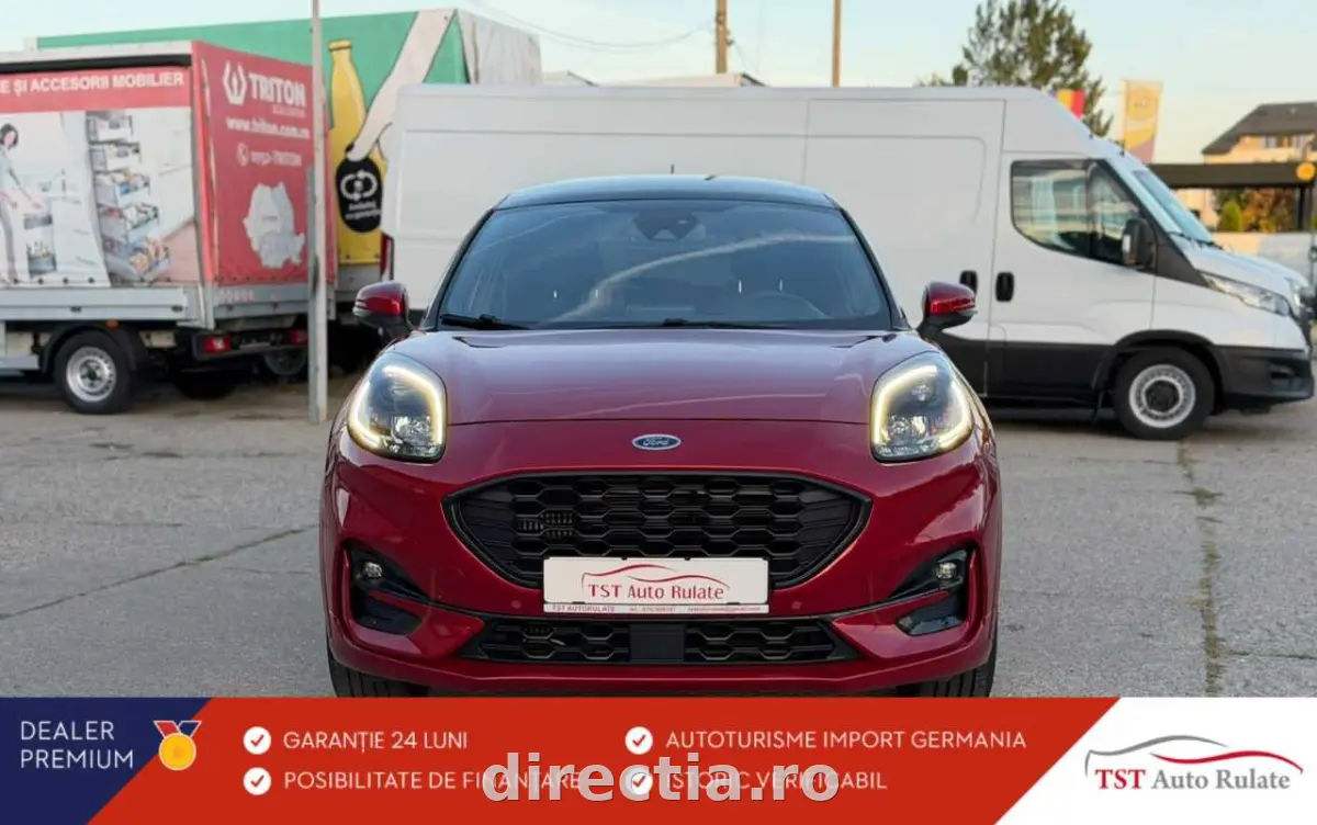 Poza principală