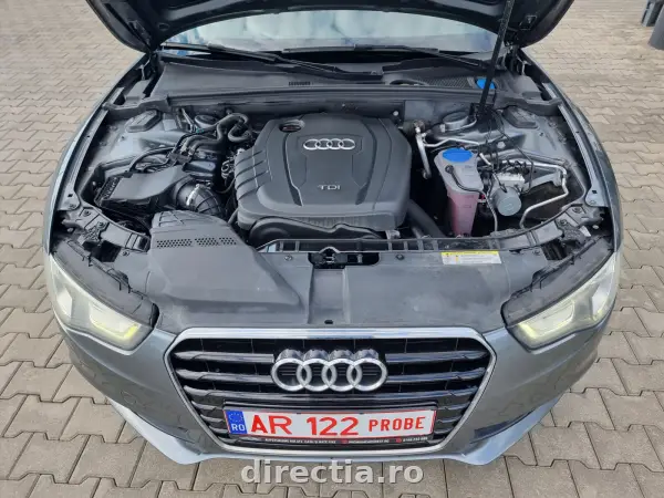 Poza anunț 31