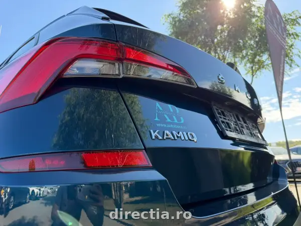 Poza anunț 20