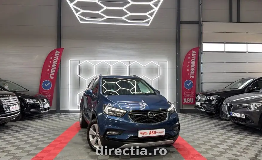 Poza principală