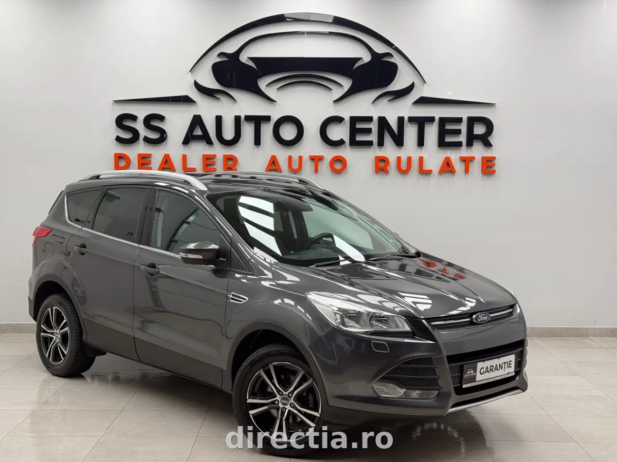 Poza principală