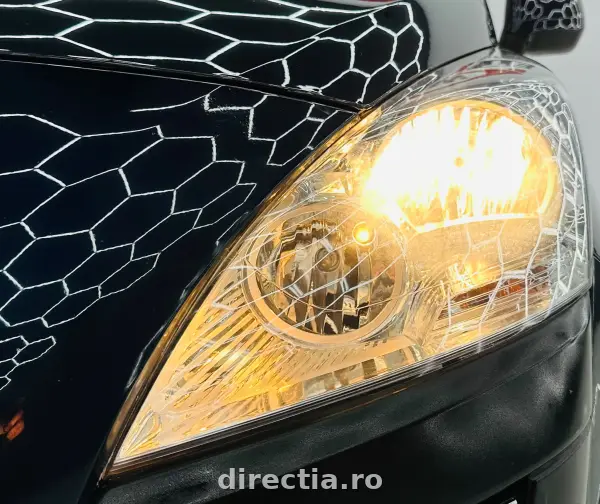 Poza anunț 10