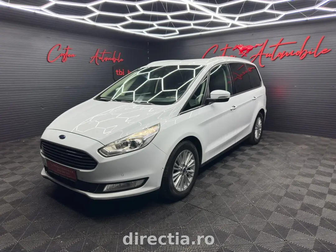 Poza principală