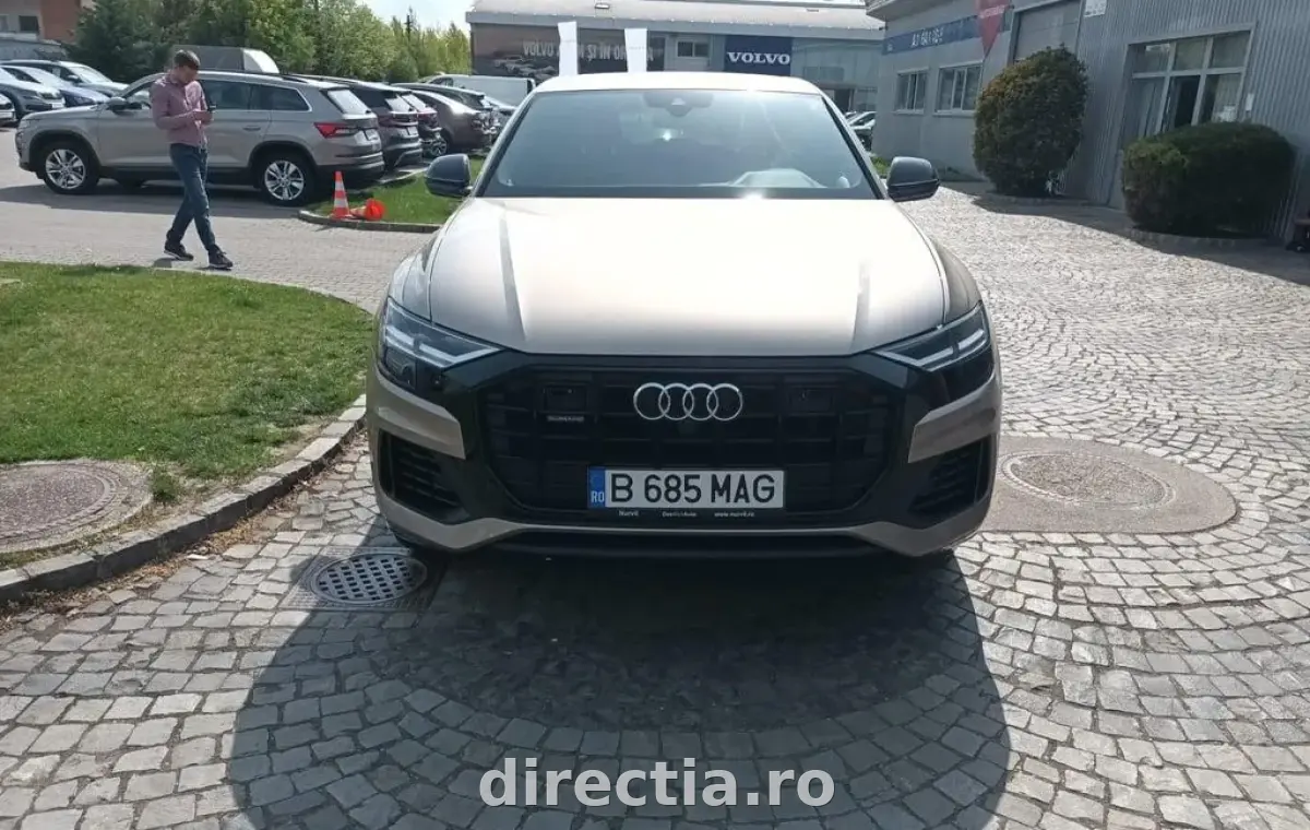 Poza principală