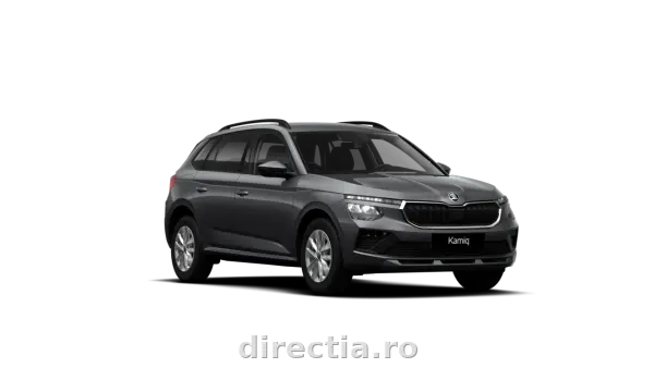 Poza anunț 1