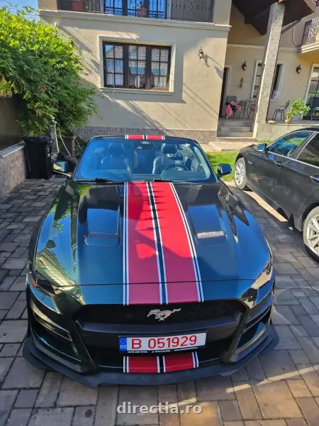 Poza anunț 6