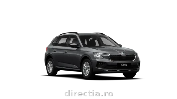 Poza anunț 1