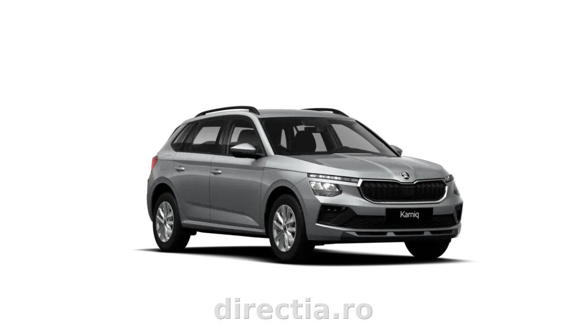 Poza principală