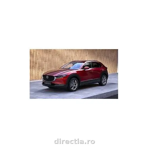 Poza anunț 1