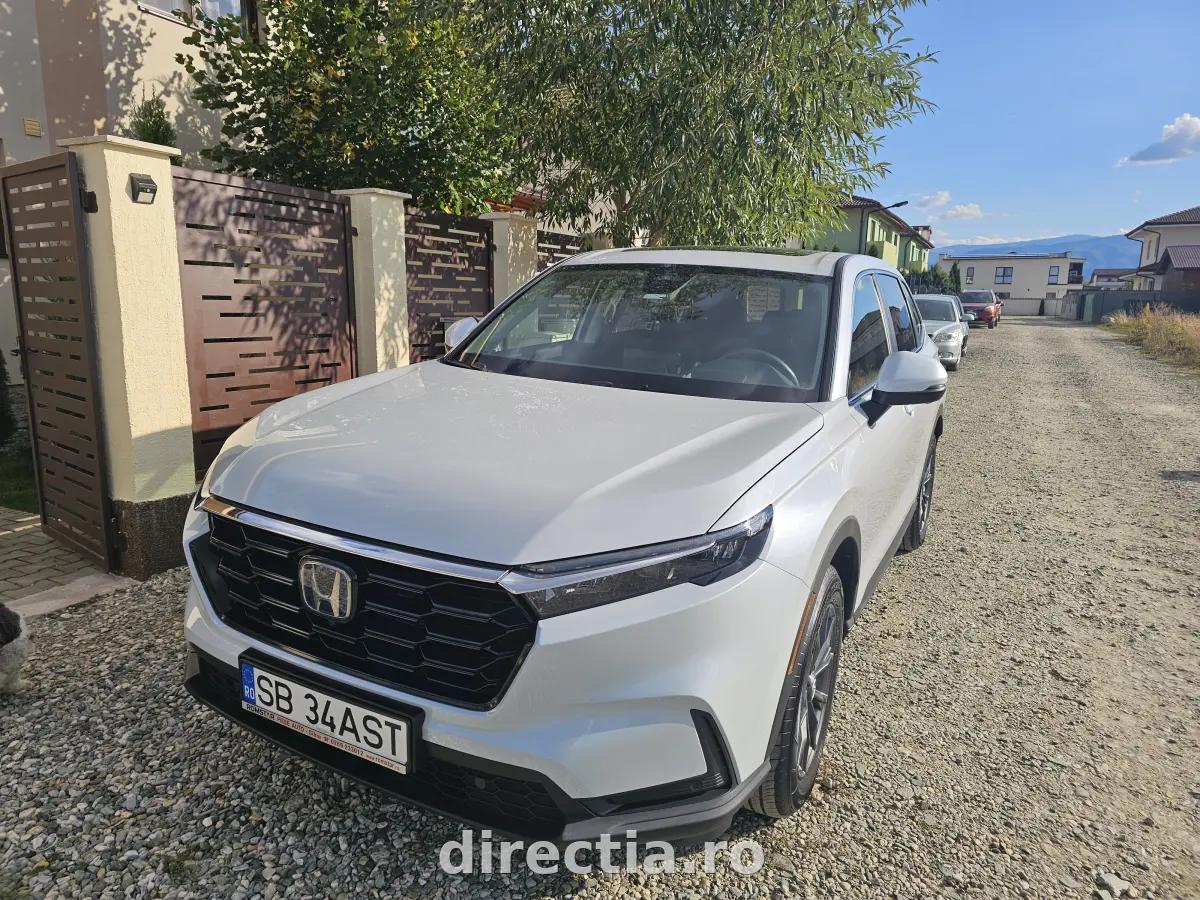 Poza principală