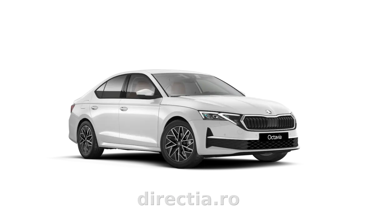 Poza principală