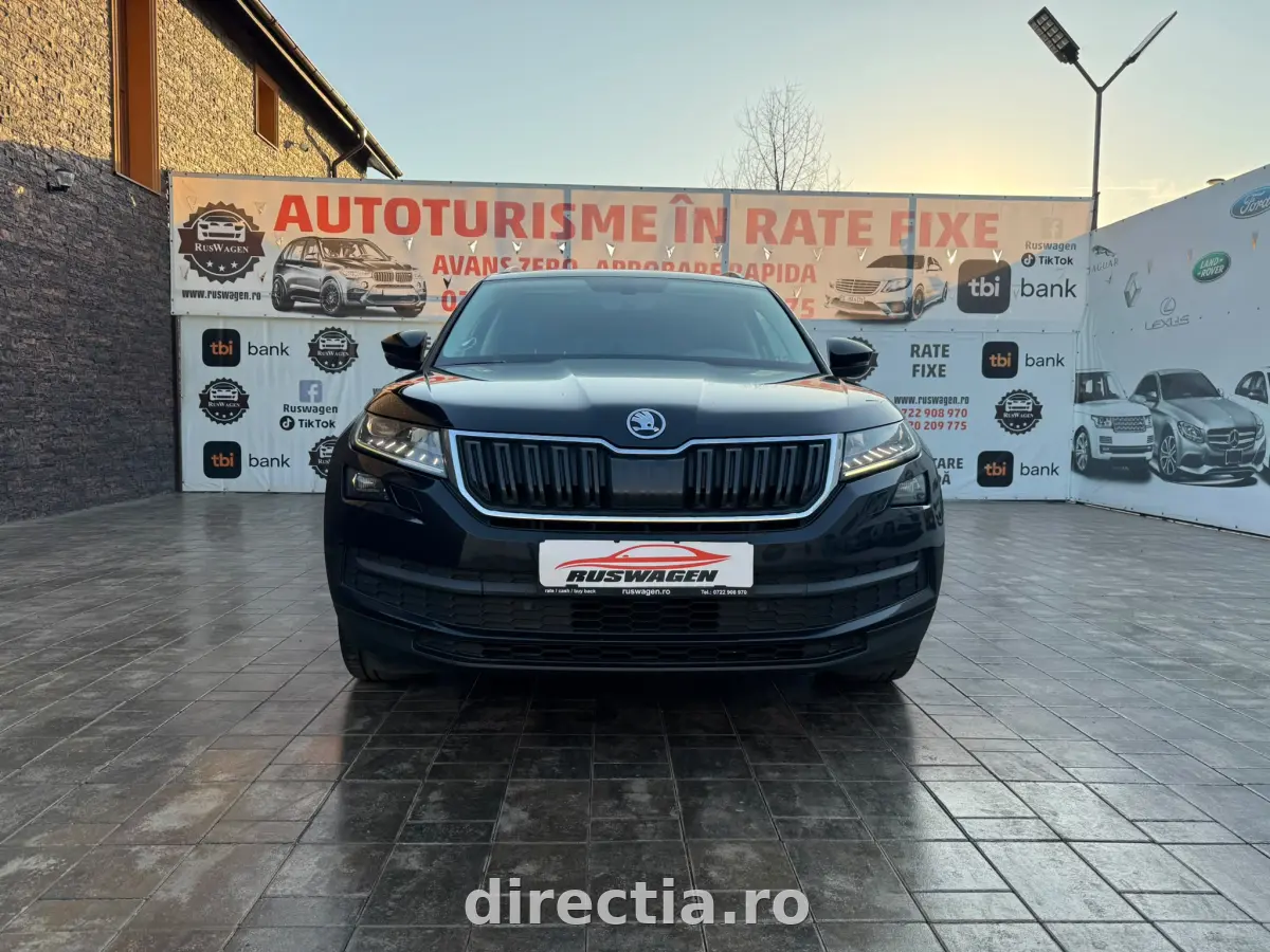 Poza principală