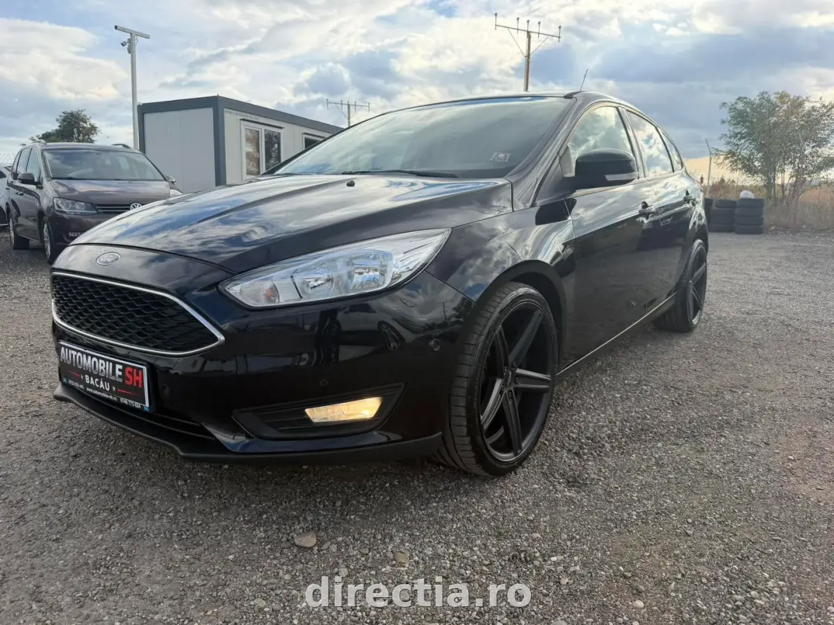 Poza principală